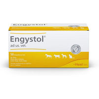 Produktbild von Heel Engystol Ad Us. vet. 50 Ampullen