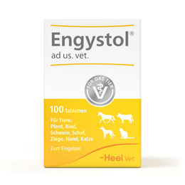 Heel Engystol ad us. vet Tabletten 100 Stück – Bild 1 von 1