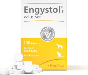 Heel Engystol ad us. vet Tabletten zur Immunstärkung und Unterstützung der Atemwege für die Rekonvaleszenz – Bild 1 von 3