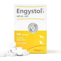 Produktbild von Heel Engystol ad us. vet Tabletten zur Immunstärkung und Unterstützung der Atemwege für die Rekonvaleszenz
