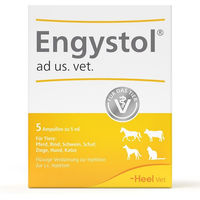 Produktbild von Heel Engystol ad usus vet Ampullen zur Immunstärkung und Unterstützung der Atemwege für alle Tierarten und Altersstufen