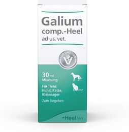 Heel Galium Comp. Tropfen für Hunde und Katzen 30 ml – Bild 1 von 1