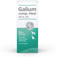 Produktbild von Heel Galium Comp. Tropfen für Hunde und Katzen 30 ml