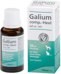 Heel Galium comp. Tropfen für alle Altersstufen – Bild 1 von 3