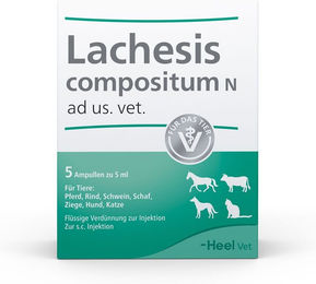 Produktbild von Heel Lachesis compositum N ad us. vet. Ampulle für die tierärztliche Anwendung