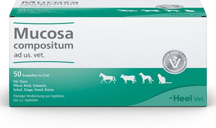 Heel Mucosa Compositum Ampullen für die Veterinäranwendung – Bild 1 von 3