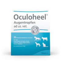 Produktbild von Heel Oculoheel Augentropfen 20 Einzeldosispipetten