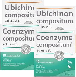 Produktbild von Heel Solidago compositum ad us. vet. Ampullen und Ubichinon compositum ad us. vet. Ampullen Set zur Unterstützung von Leber und Nieren für Senioren