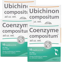 Produktbild von Heel Solidago compositum ad us. vet. Ampullen und Ubichinon compositum ad us. vet. Ampullen Set zur Unterstützung von Leber und Nieren für Senioren