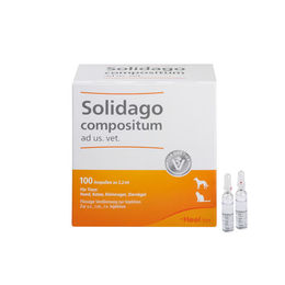 Heel Solidago compositum Ampullen für die Veterinäranwendung 100 Stück – Bild 1 von 1