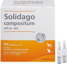 Heel Solidago Compositum Ampullen für die Tierveterinäranwendung zur Unterstützung von Leber und Nieren bei Seniortieren – Bild 1 von 2