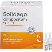 Produktbild von Heel Solidago Compositum Ampullen für die Tierveterinäranwendung zur Unterstützung von Leber und Nieren bei Seniortieren
