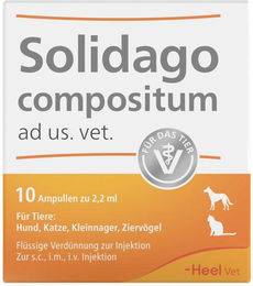 Heel Solidago Compositum Ampullen für Hunde und Katzen zur Unterstützung von Leber und Nieren für Senioren – Bild 1 von 4