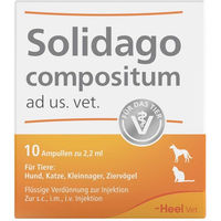 Produktbild von Heel Solidago Compositum Ampullen für Hunde und Katzen zur Unterstützung von Leber und Nieren für Senioren
