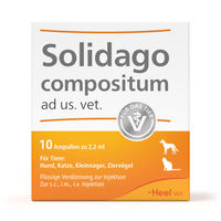 Produktbild von Heel Solidago compositum Tierarzneimittel 10 Ampullen