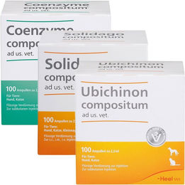 Produktbild von Heel Solidago compositum Ubichinon compositum und Coenzyme compositum ad us. vet. Ampullen zur Seniorenpflege für Leber und Nieren
