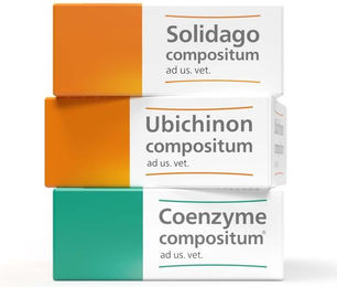 Heel Solidago compositum Ubichinon compositum und Coenzyme compositum Ampullen Set zur Seniorenpflege für Leber und Nieren bei Tieren – Bild 1 von 2