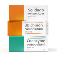 Produktbild von Heel Solidago compositum Ubichinon compositum und Coenzyme compositum Ampullen Set zur Seniorenpflege für Leber und Nieren bei Tieren