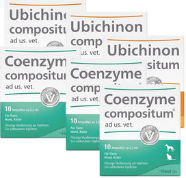 Produktbild von Heel Solidago compositum und Ubichinon compositum Ampullen Set zur Unterstützung von Leber und Nieren für Senioren