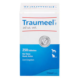 Heel Traumeel ad us. vet. Tabletten 250 Stück – Bild 1 von 1