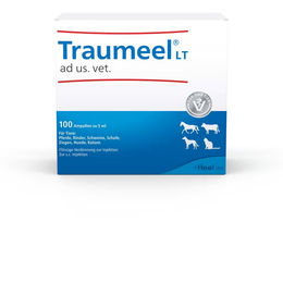 Heel Traumeel LT ad us. vet. 100x5 ml Ampullen – Bild 1 von 1