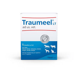 Heel TRAUMEEL LT ad us.vet Ampullen 5x5 ml – Bild 1 von 1