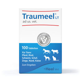 Heel Traumeel LT ad us. vet. Tabletten 100 Stück – Bild 1 von 1