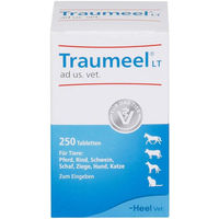 Produktbild von Heel Traumeel Lt Ad Us.Vet Tabletten 250 Stück