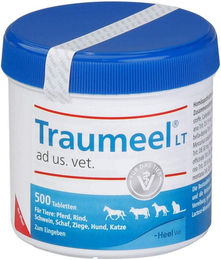 Heel Traumeel Lt Ad Us.Vet Tabletten 500 Stück – Bild 1 von 1