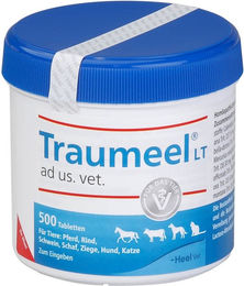 Heel Traumeel LT ad us. vet. Tabletten zur Unterstützung der Gelenke und Rekonvaleszenz für Tiere – Bild 1 von 3