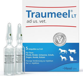 Heel Traumeel LT Ampullen Veterinär für alle Tierarten und Altersstufen – Bild 1 von 4