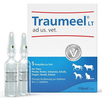 Produktbild von Heel Traumeel LT Ampullen Veterinär für alle Tierarten und Altersstufen