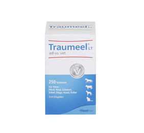 Heel Traumeel LT Tabletten 250 Stück – Bild 1 von 1