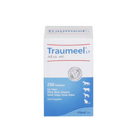 Produktbild von Heel Traumeel LT Tabletten 250 Stück