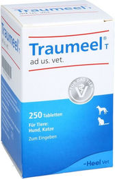Heel Traumeel T Tabletten für Hunde und Katzen zur Unterstützung der Gelenke 250 Stück – Bild 1 von 6