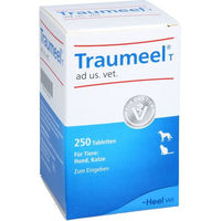Produktbild von Heel Traumeel T Tabletten für Hunde und Katzen zur Unterstützung der Gelenke 250 Stück