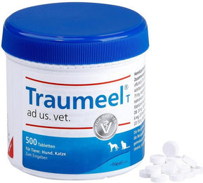 Heel Traumeel T Tabletten für Hunde und Katzen zur Unterstützung der Gelenke 500 Stück – Bild 1 von 6
