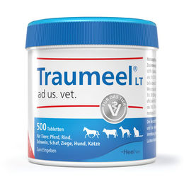 Heel Traumel LT ad us. vet. Tabletten 500 Stück – Bild 1 von 1