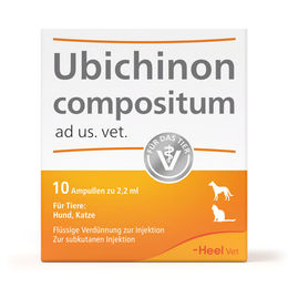 Heel Ubichinon compositum für die tierärztliche Anwendung 10 Ampullen – Bild 1 von 1