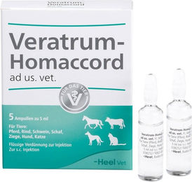 Heel Veratrum Homaccord Vet – Bild 1 von 1
