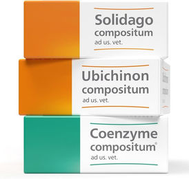 Heel Vet SUC Bundle Seniorenpflege – Bild 1 von 1