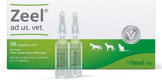 Heel Zeel Ampullen Veterinär Nahrungsergänzung für die Gelenke 250 ml – Bild 1 von 1