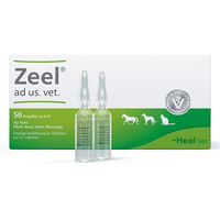 Produktbild von Heel Zeel Ampullen Veterinär Nahrungsergänzung für die Gelenke 250 ml