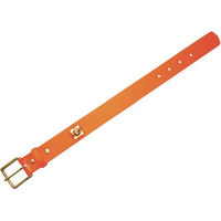 Produktbild von HEIM Biothane Halsband für Hunde waterproof Leuchtorange 25 mm 40 cm