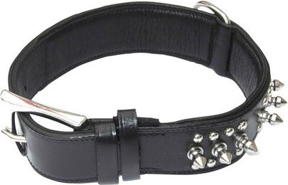 HEIM Hundehalsband aus Leder in Schwarz 55 cm – Bild 1 von 3