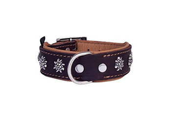 Heim Hundehalsband Edelweiß aus Leder Schwarz 55 cm – Bild 1 von 2