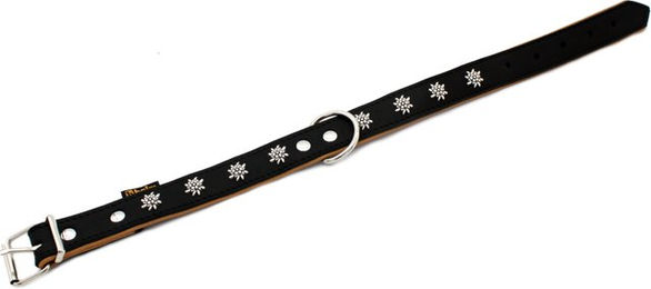 Produktbild von Heim Hundehalsband Edelweiß aus Leder schwarz/natur 25 mm breit 36-44 cm wasserabweisend