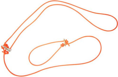 Produktbild von HEIM Hundeleine Modern Art aus Biothane in Orange 2 m