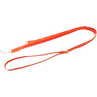 Produktbild von HEIM Hundeleine Modern Art aus Gurtband in Orange 220cm