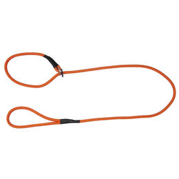 Produktbild von Heim Moxon Feldleine für Hunde in Orange 150 cm - 150 cm